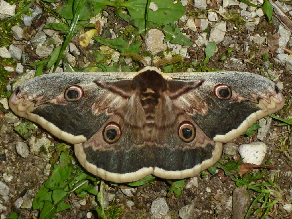 Ai piedi del Monte Baldo