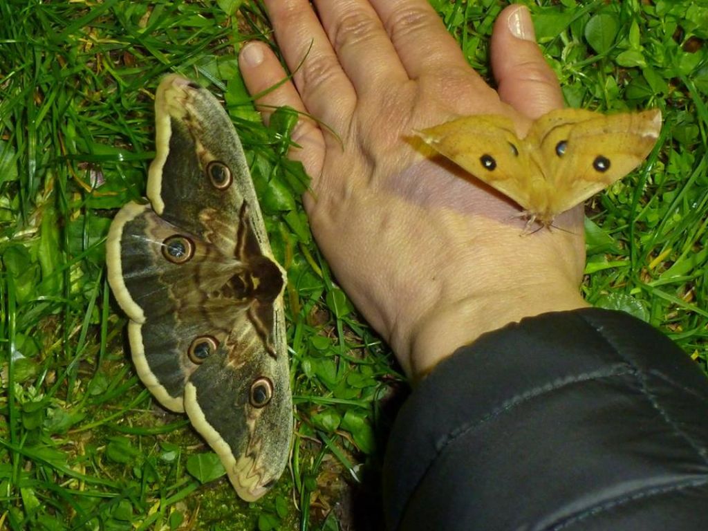 Ai piedi del Monte Baldo