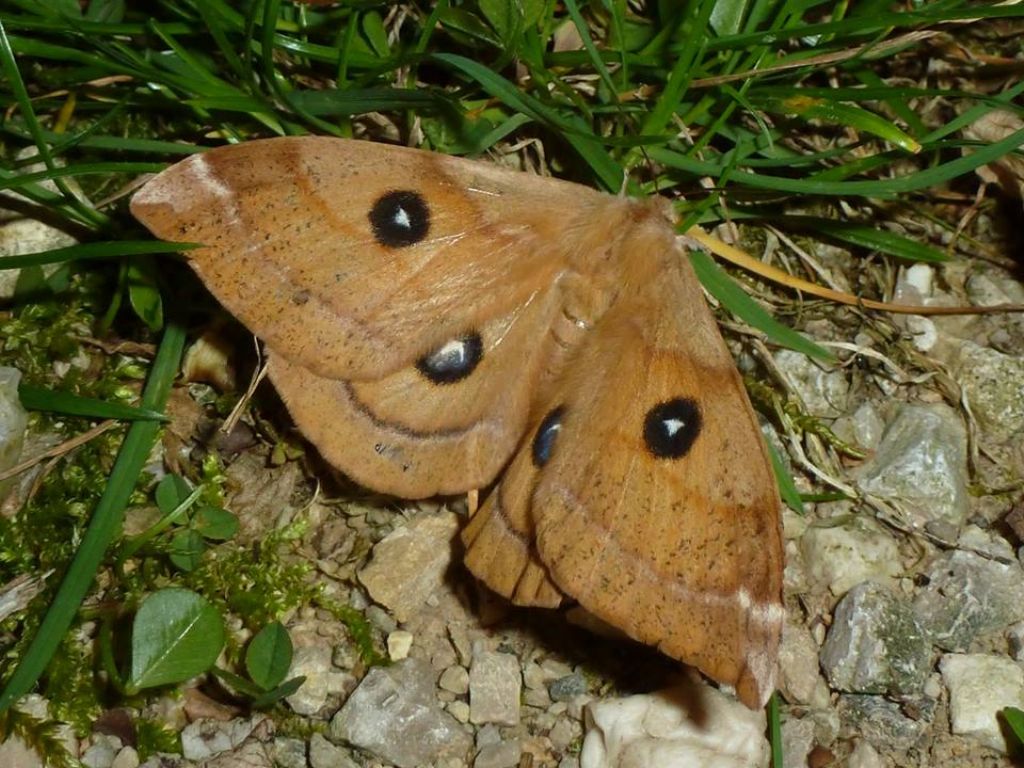 Ai piedi del Monte Baldo