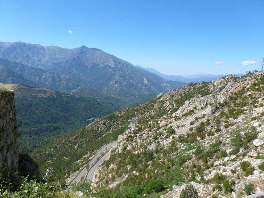 Due endemismi sardo-corsi, dalla Corsica