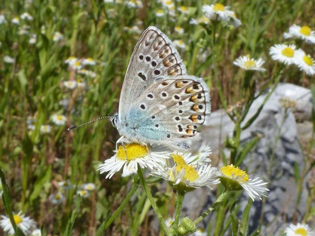 Un giretto in Val Gesso (CN)