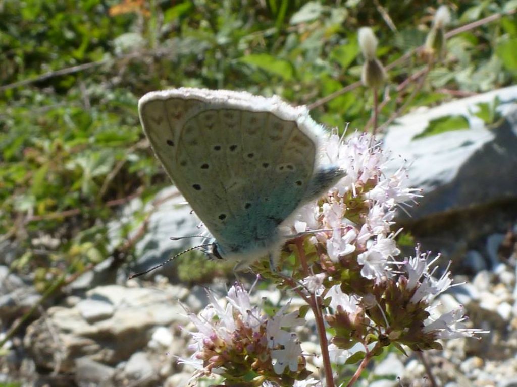 Un giretto in Val Gesso (CN)