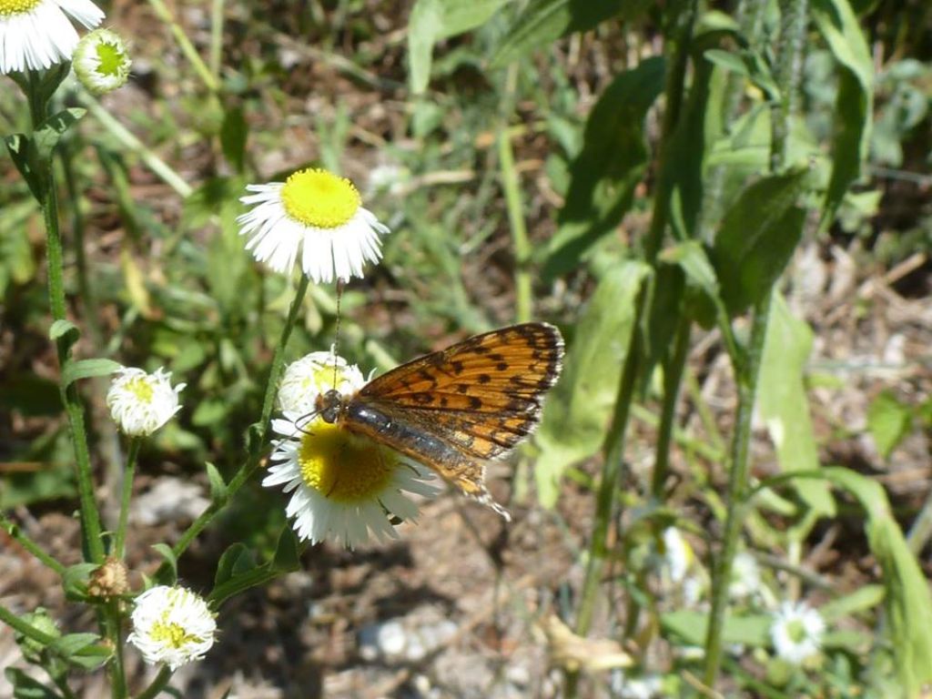 Un giretto in Val Gesso (CN)