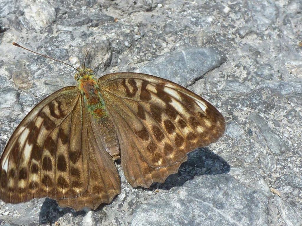 Un giretto in Val Gesso (CN)