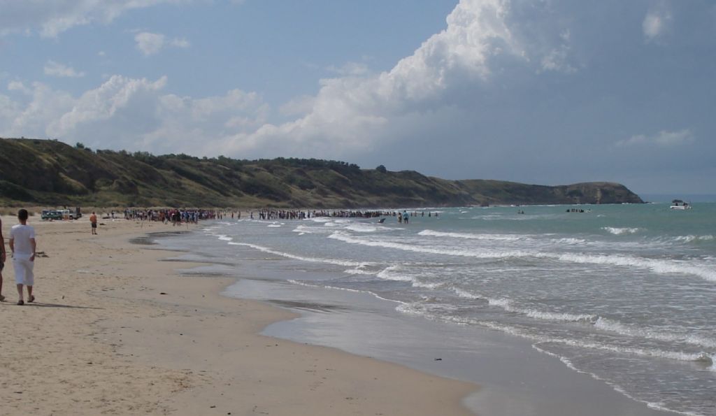 I capodogli di Vasto