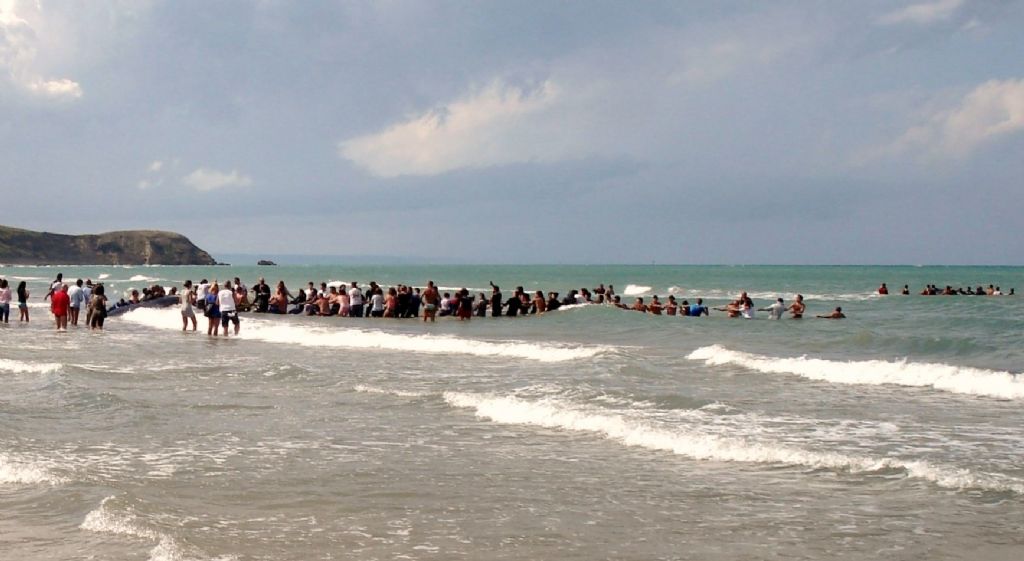 I capodogli di Vasto