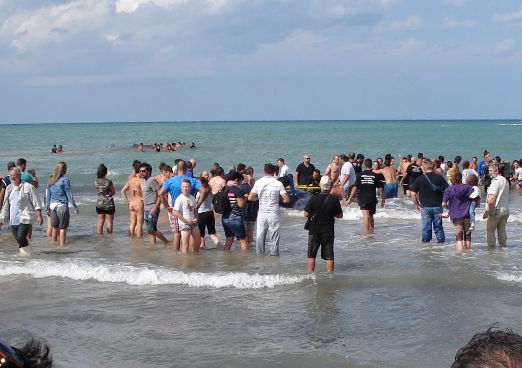 I capodogli di Vasto