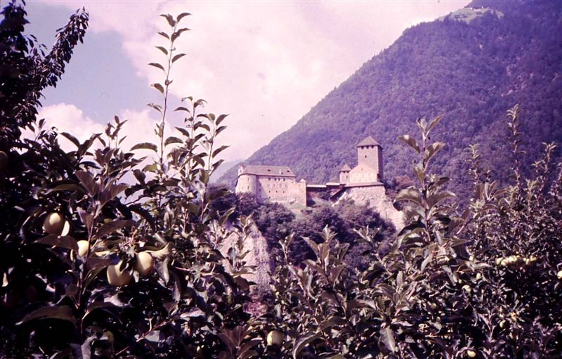 Quiz internazionale