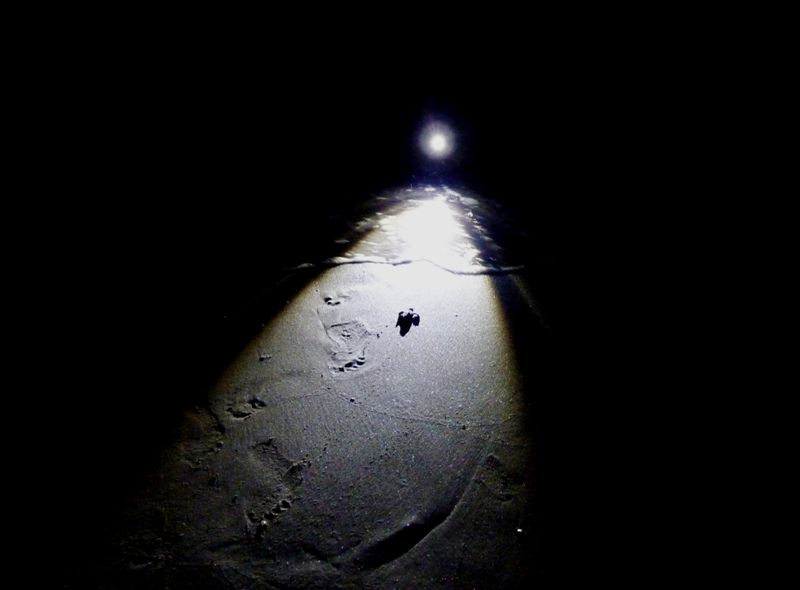 Una bellissima notizia