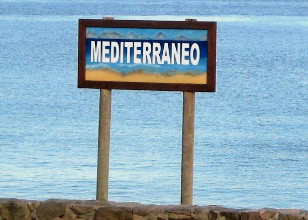 Quiz internazionale