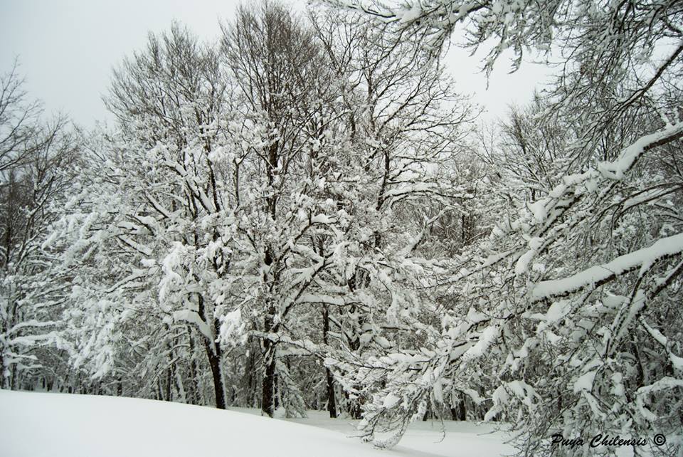 Appennino siculo tempio siciliano della natura e della neve