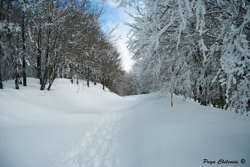 Appennino siculo tempio siciliano della natura e della neve