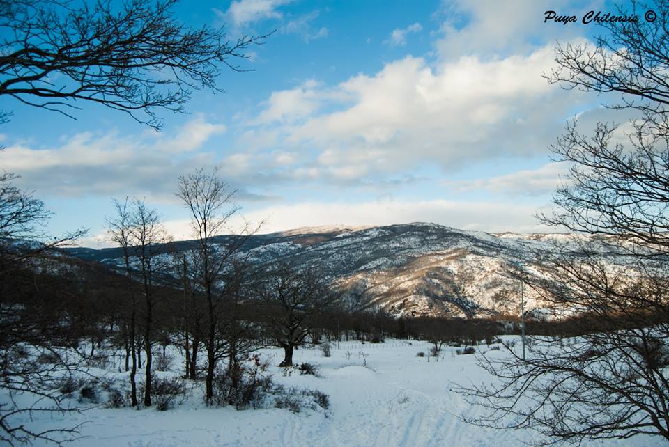 Appennino siculo tempio siciliano della natura e della neve