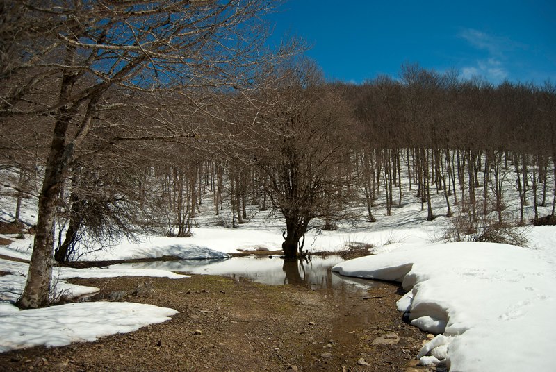 Appennino siculo tempio siciliano della natura e della neve