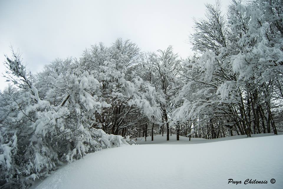 Appennino siculo tempio siciliano della natura e della neve