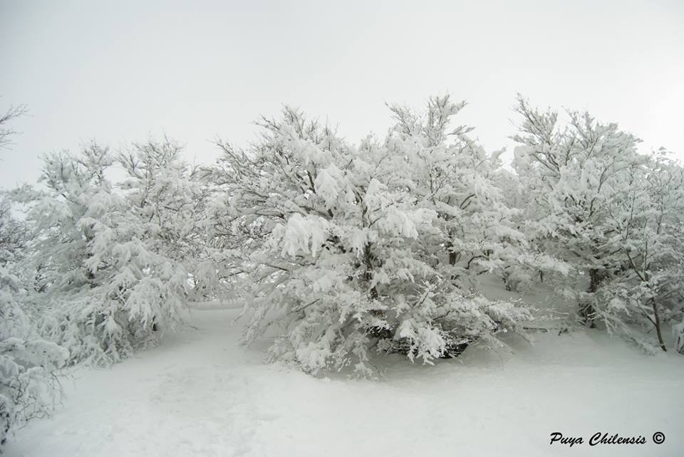 Appennino siculo tempio siciliano della natura e della neve