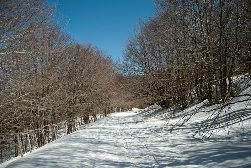 Appennino siculo tempio siciliano della natura e della neve