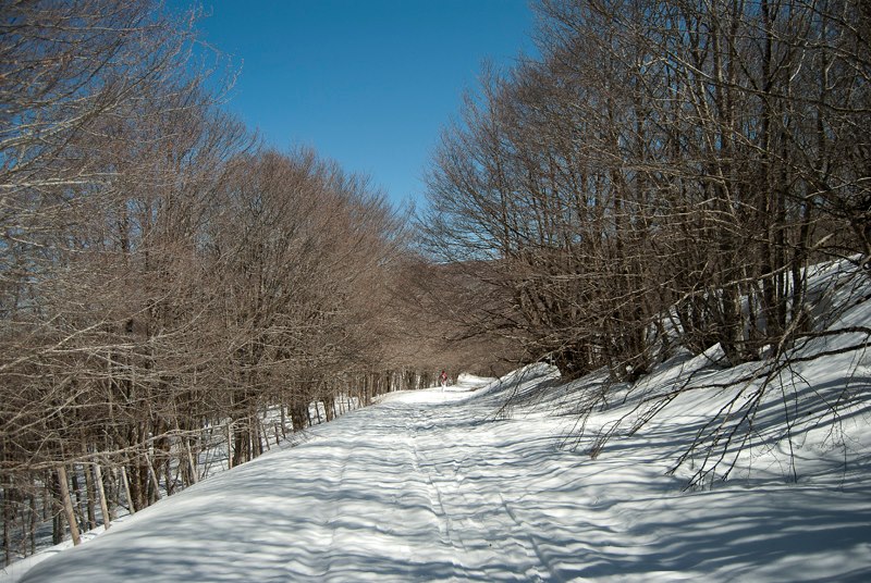 Appennino siculo tempio siciliano della natura e della neve