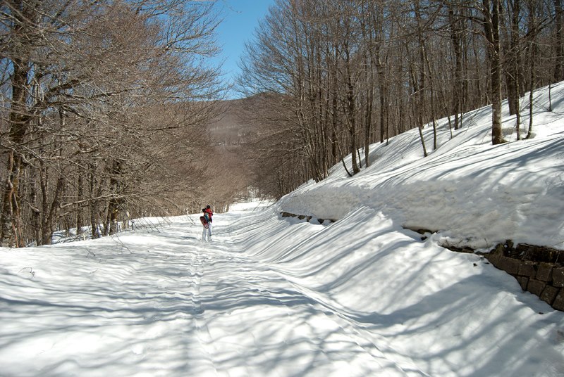 Appennino siculo tempio siciliano della natura e della neve