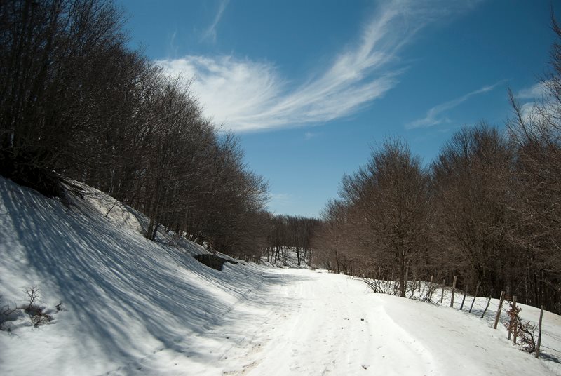 Appennino siculo tempio siciliano della natura e della neve