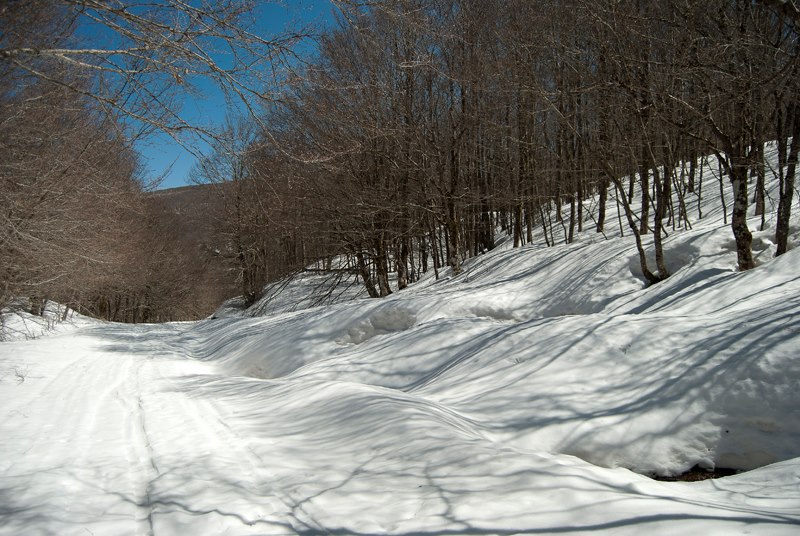 Appennino siculo tempio siciliano della natura e della neve