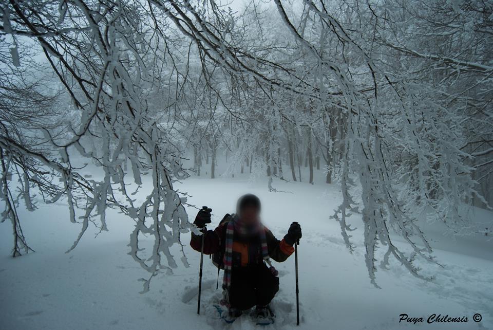 Appennino siculo tempio siciliano della natura e della neve