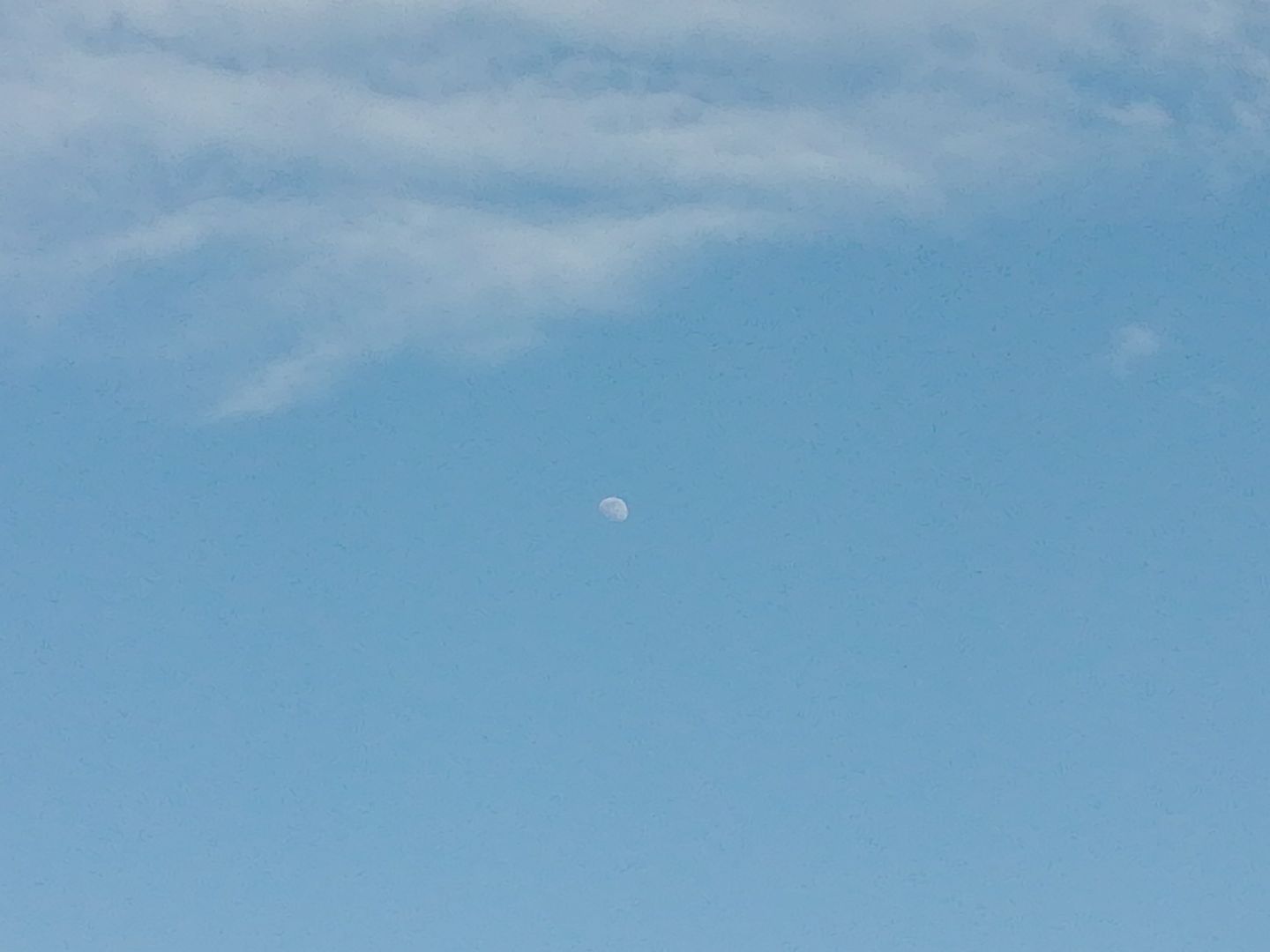 Luna di giorno