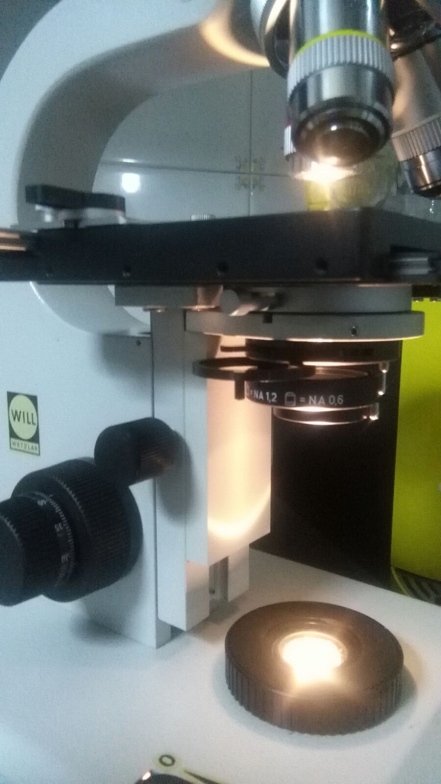 Microscopio Hund Wetzlar BX-300 Plan