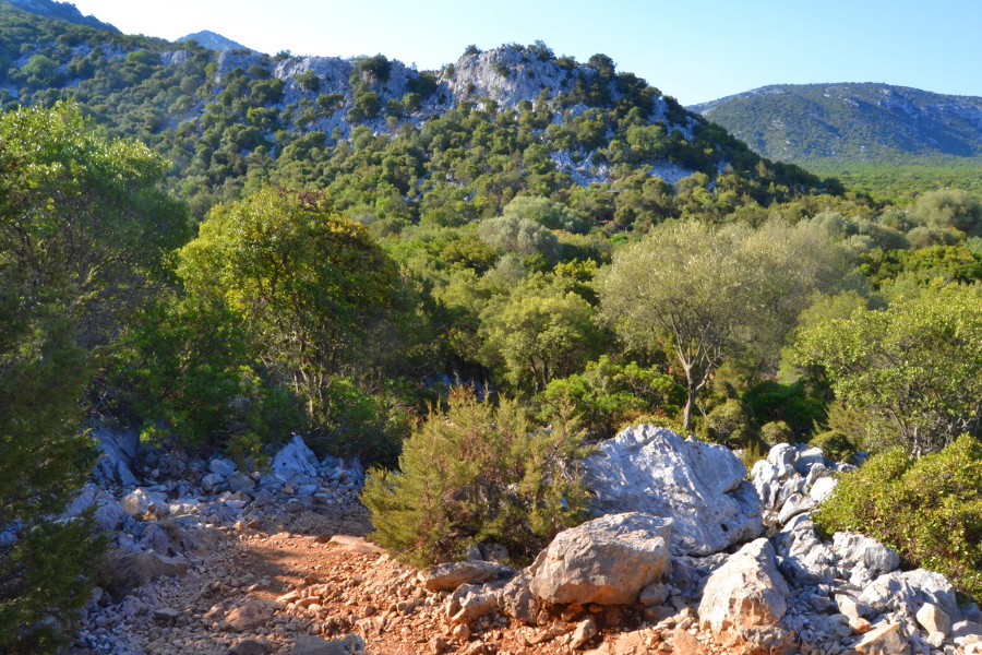 Escursione a Cala Goloritz