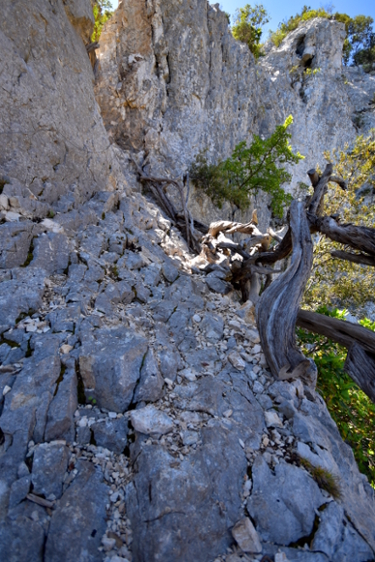 Trekking Ispuligidenie (Supramonte baunese)