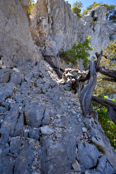 Trekking Ispuligidenie (Supramonte baunese)