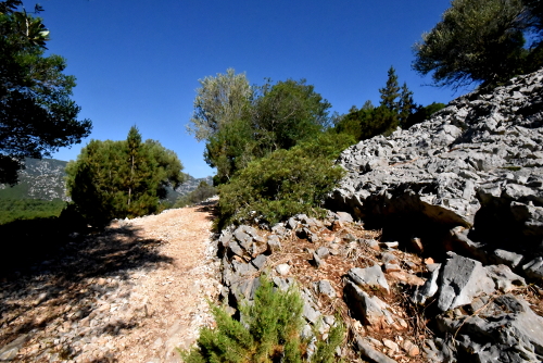 Trekking Ispuligidenie (Supramonte baunese)