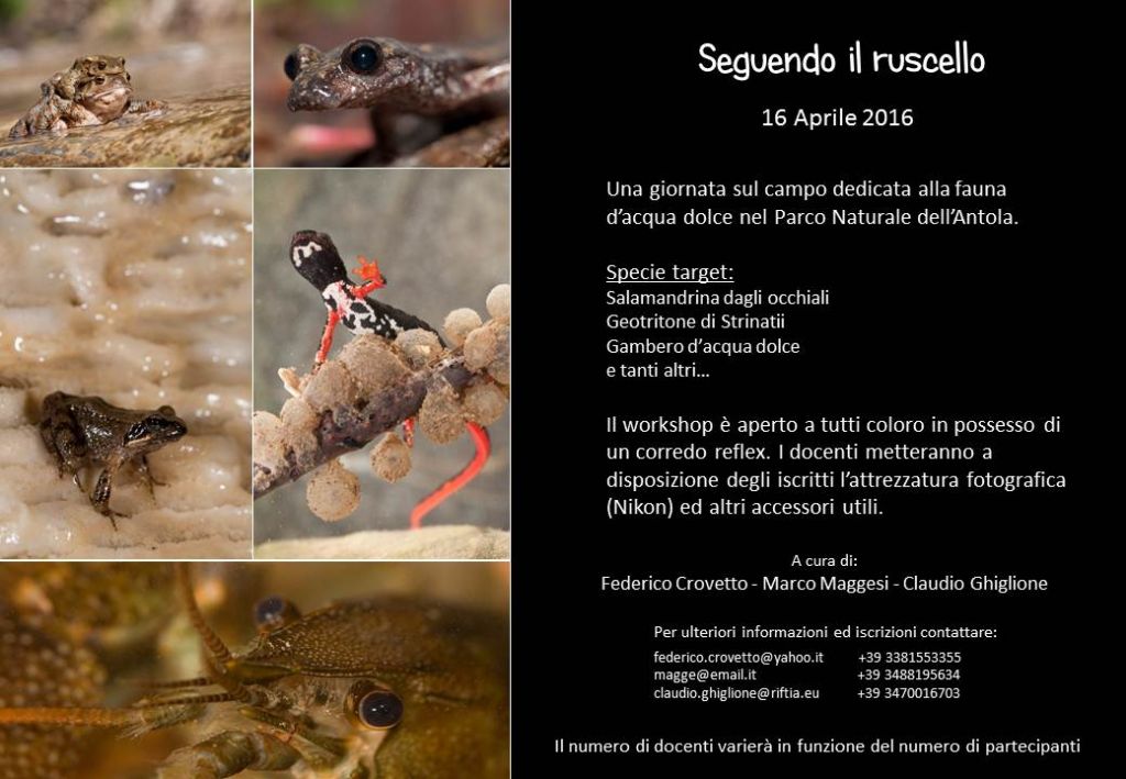 Workshop fotografico naturalistico: Seguendo il ruscello