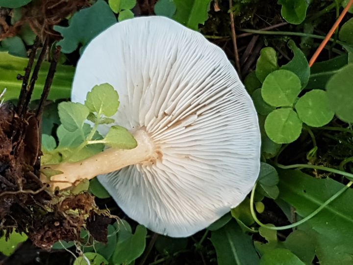 in un parco 1