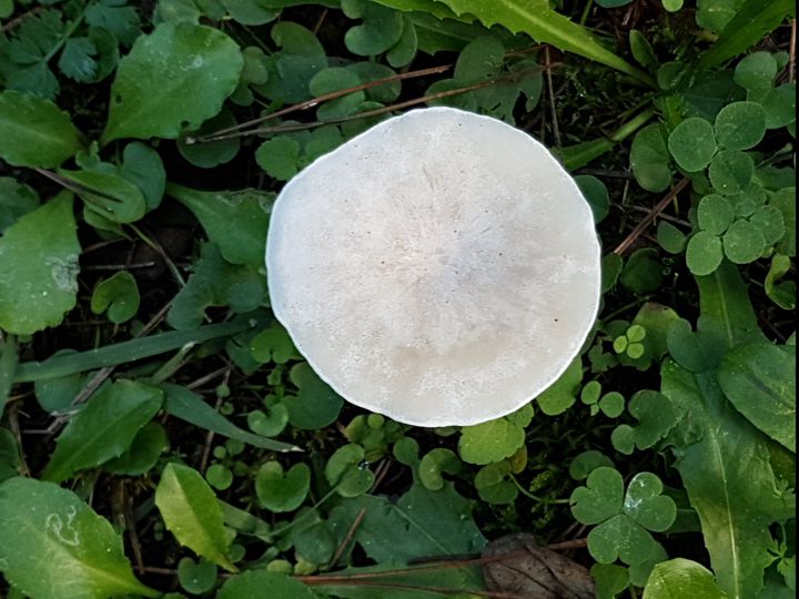 in un parco 1