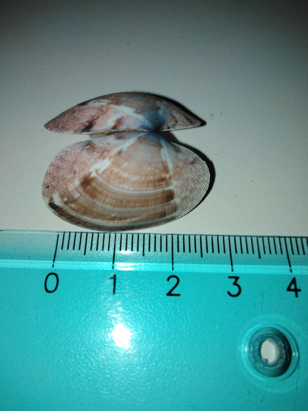 identificare