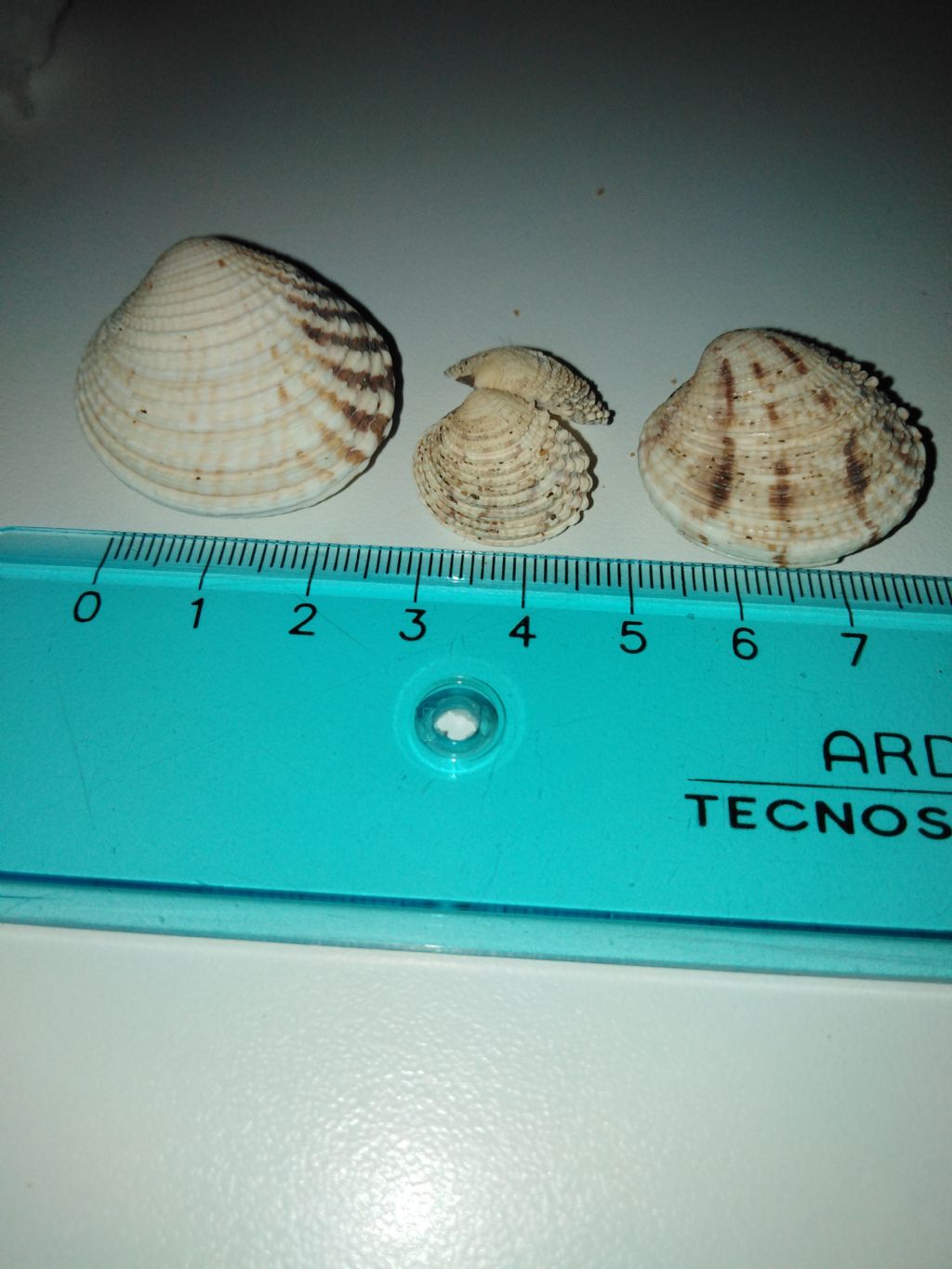 Identificare