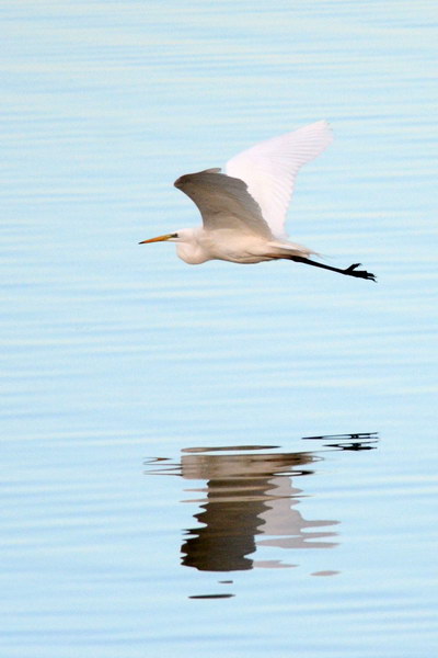 Ad ali spiegate, il sogno di Icaro.