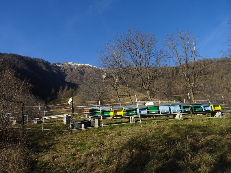api ancora attive !?