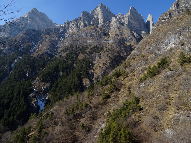 Rupicapra rupicapra.....dal Trentino Alto Adige