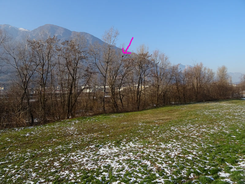 di chi pu� essere questo nido..... ?