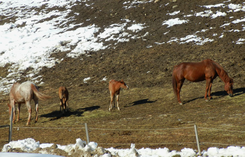 salita al...... Monte Stivo m.2059