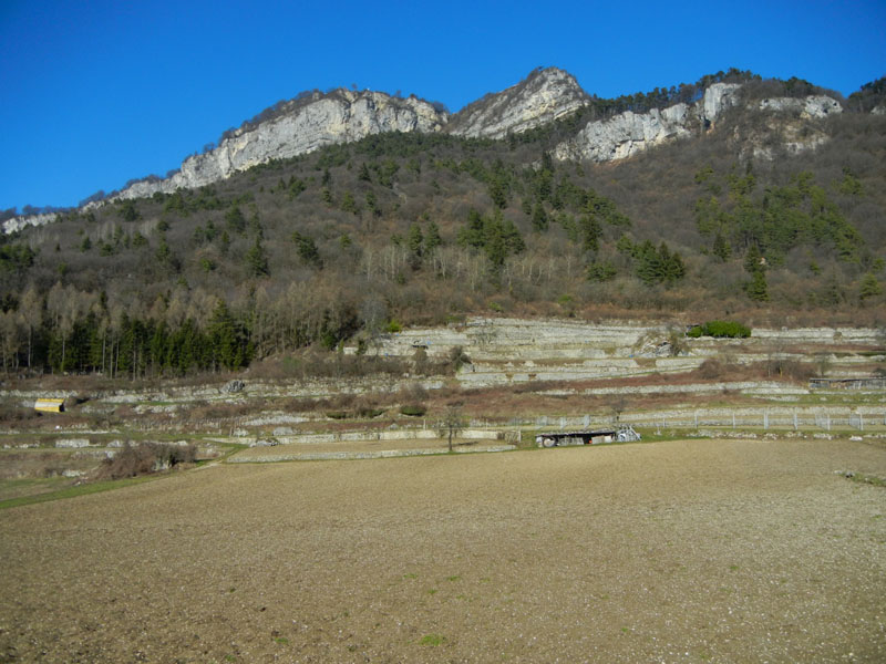 salita al...... Monte Stivo m.2059