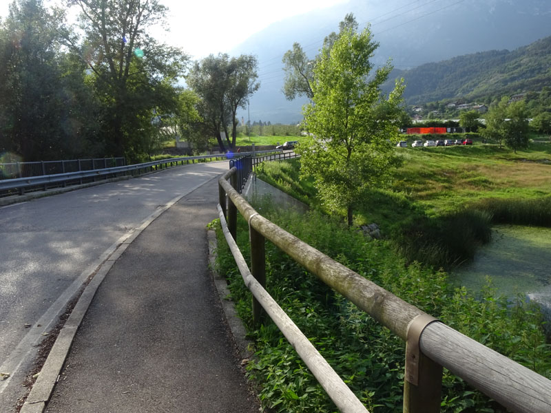 bruco: Abrostola triplasia - Noctuidae.......dal Trentino