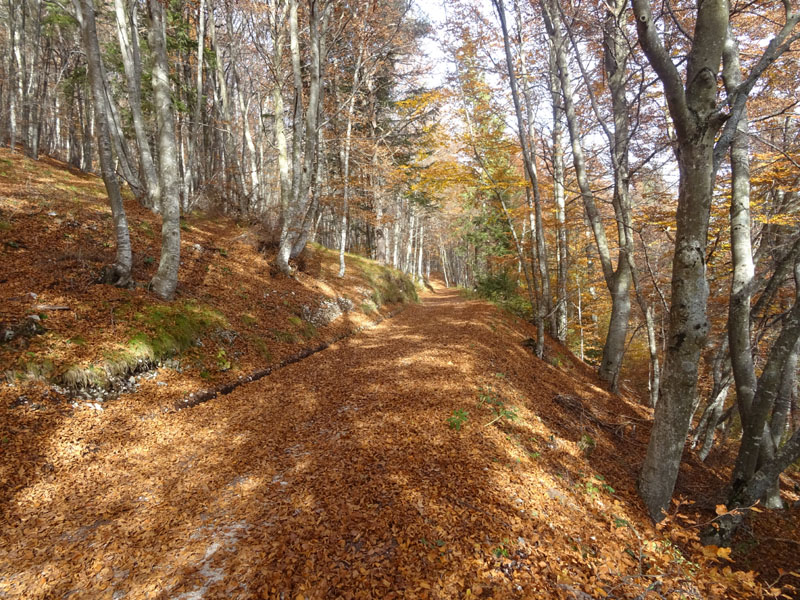 canalone Sud-Est (Geroni) .......del Monte Stivo