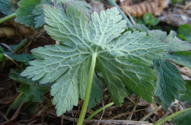 da determinare.......