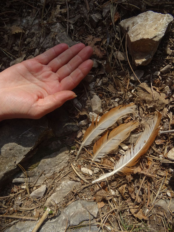 da determinare.......