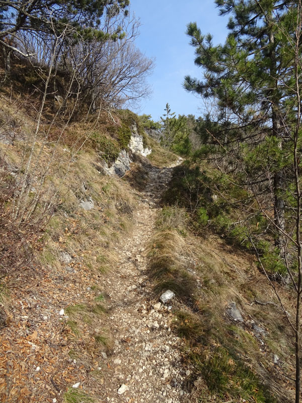 da determinare.......