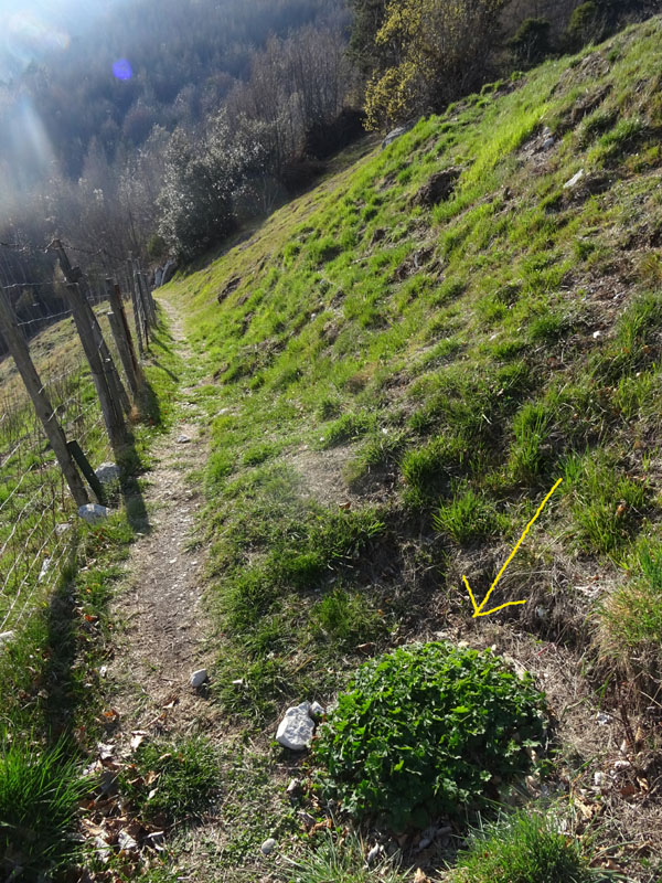 da determinare.......