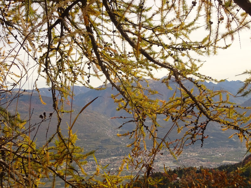 canalone Sud-Est (Geroni) .......del Monte Stivo